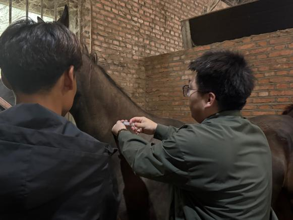 六合彩投注网
