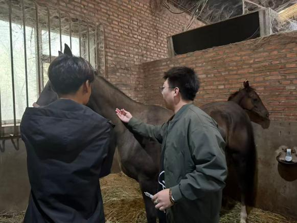 六合彩投注网