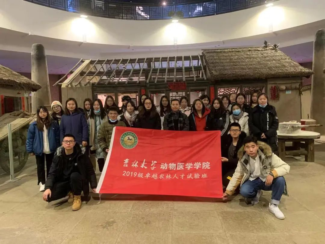六合彩投注网