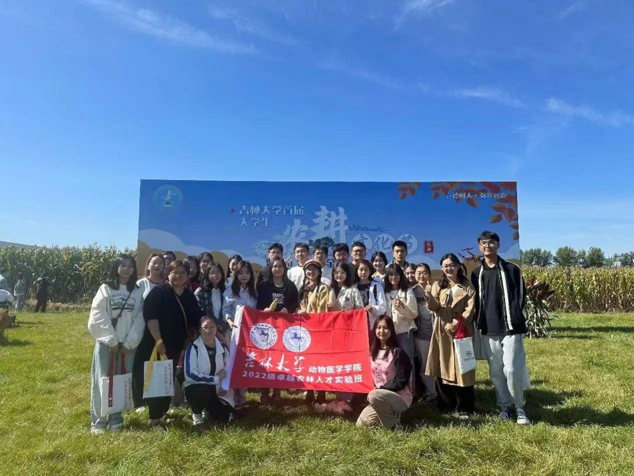 六合彩投注网