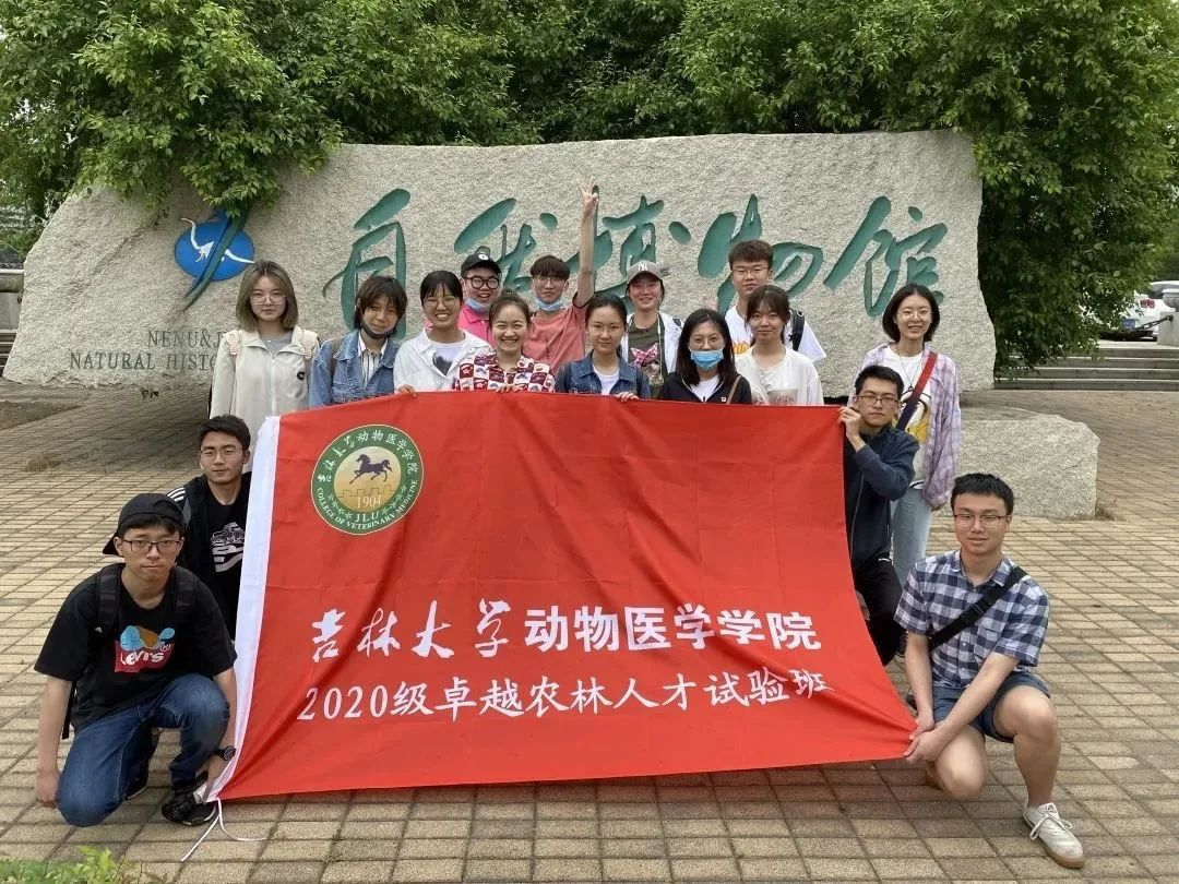 六合彩投注网